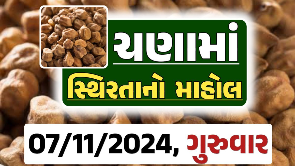 Chana Price 07-11-2024 આજના ચણા ના બજાર ભાવ gkmarugujarat.com