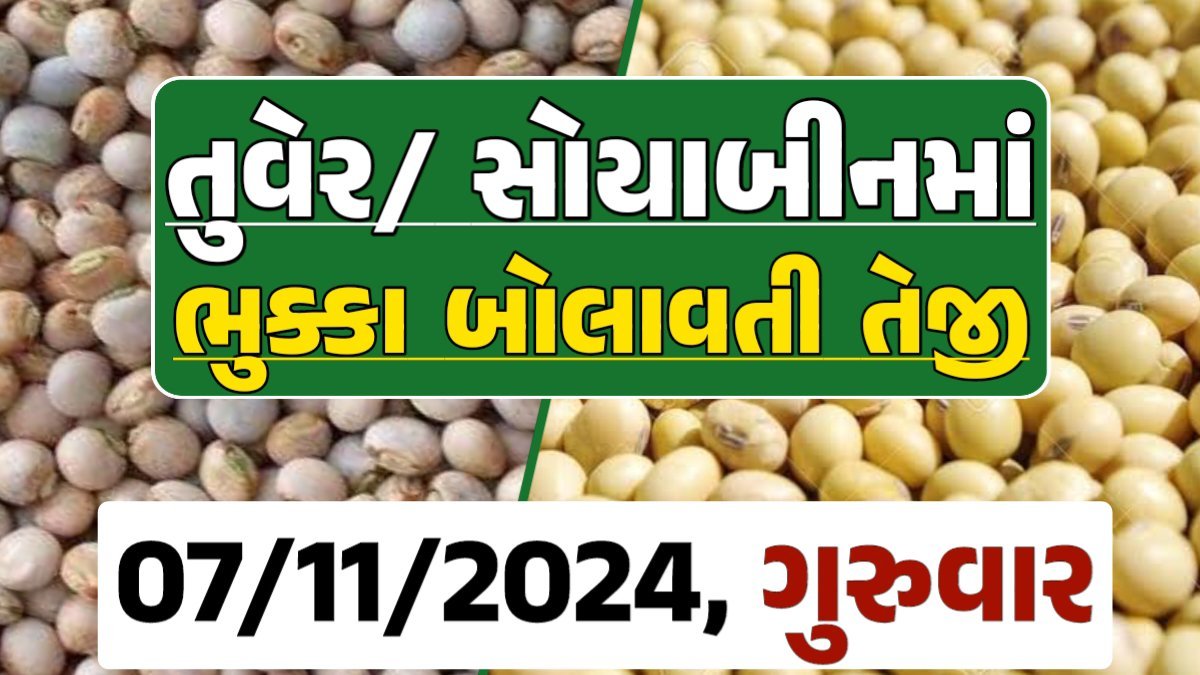 Turmeric And Soybeans Price 07-11-2024 તુવેર સોયાબીન ના બજાર ભાવ gkmarugujarat.com