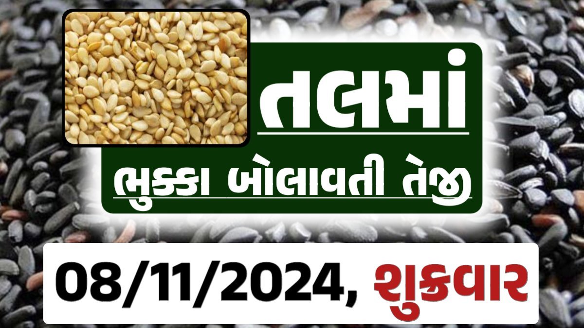 Tal price 08-11-2024 આજના સફેદ અને કાળા તલ ના બજાર ભાવ Gkmarugujarat.com