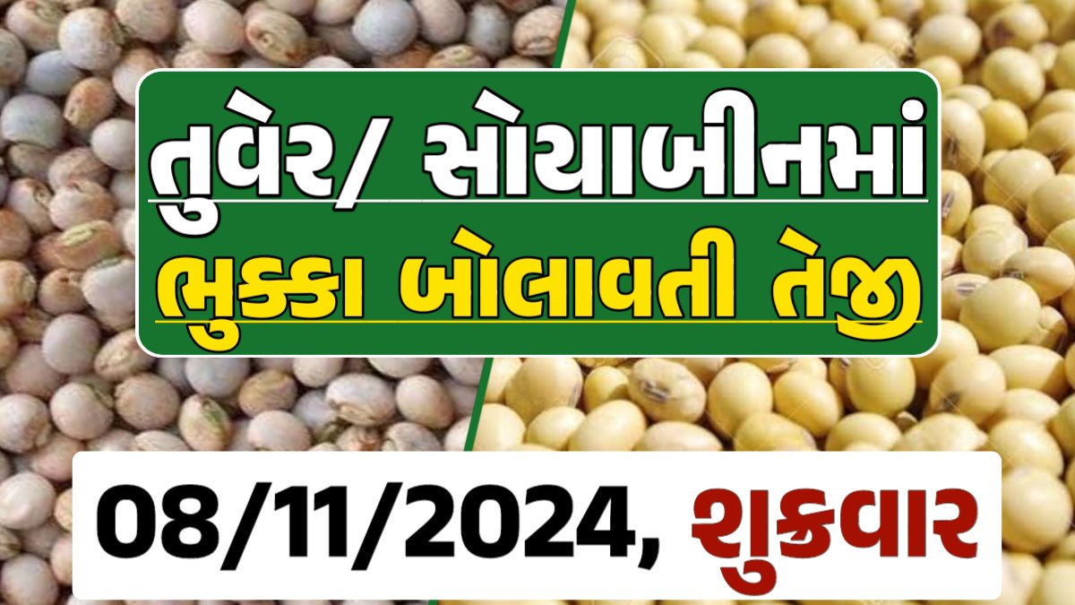Turmeric And Soybeans Price 08-11-2024 તુવેર સોયાબીન ના બજાર ભાવ gkmarugujarat.com