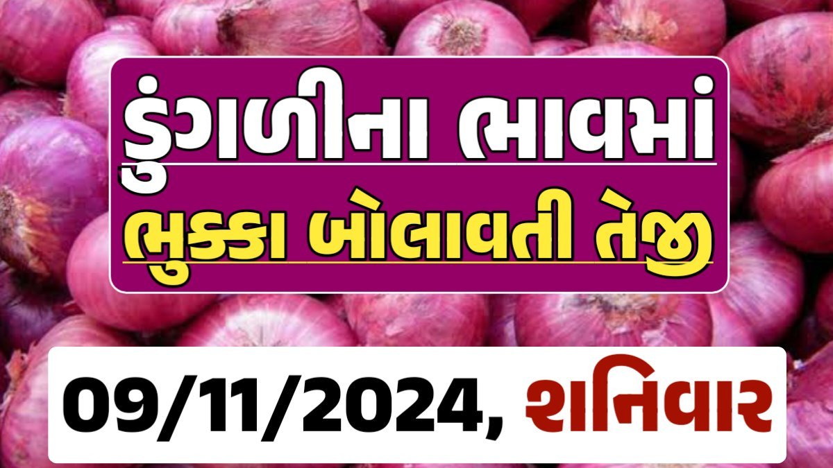 Onion Price 09-11-2024 લાલ અને સફેદ ડુંગળી ના બજાર ભાવ Gkmarugujarat.com