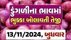 Onion Price 11-11-2024 લાલ અને સફેદ ડુંગળી ના બજાર ભાવ Gkmarugujarat.com