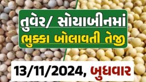 Turmeric And Soybeans Price 13-11-2024 તુવેર સોયાબીન ના બજાર ભાવ gkmarugujarat.com