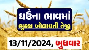 Ghau Price 13-11-2024 આજના લોકવન અને ટુકડા ઘઉં ના બજાર ભાવ gkmarugujarat.com