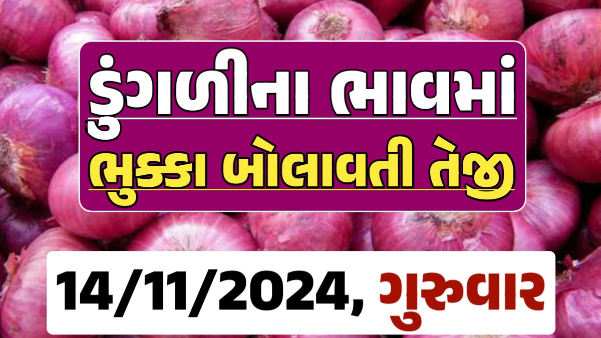 Onion Price 14-11-2024 લાલ અને સફેદ ડુંગળી ના બજાર ભાવ Gkmarugujarat.com