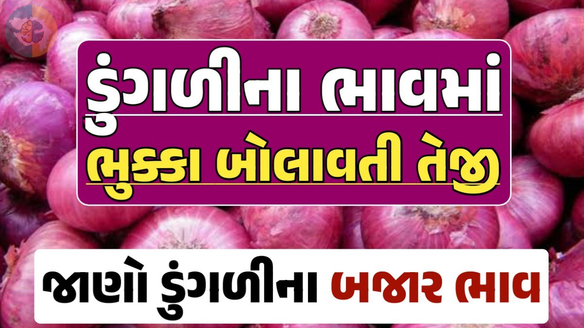 આજના ડુંગળીના ભાવ, ડુંગળી ભાવ, Onion Price 2024, ડુંગળીના ભાવ, ડુંગળીના બજાર ભાવ, Onion Rate, ડુંગળીના બજાર ભાવ 2024 gkmarugujarat.com