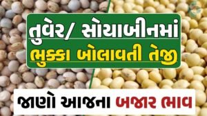 તુવેર અને સોયાબીન, તુવેરના બજાર ભાવ 2024, Eranda Price 2024, તુવેર ભાવ 2024, આજના તુવેર ના બજાર ભાવ, તુવેરના ભાવ, બજાર ભાવ, તુવેરમાં તેજી, તુવેર ભાવ, સોયાબીન, સોયાબીન ભાવ, સોયાબીનના બજાર ભાવ, Turmeric Price, Soybeans Price, gkmarugujarat.com