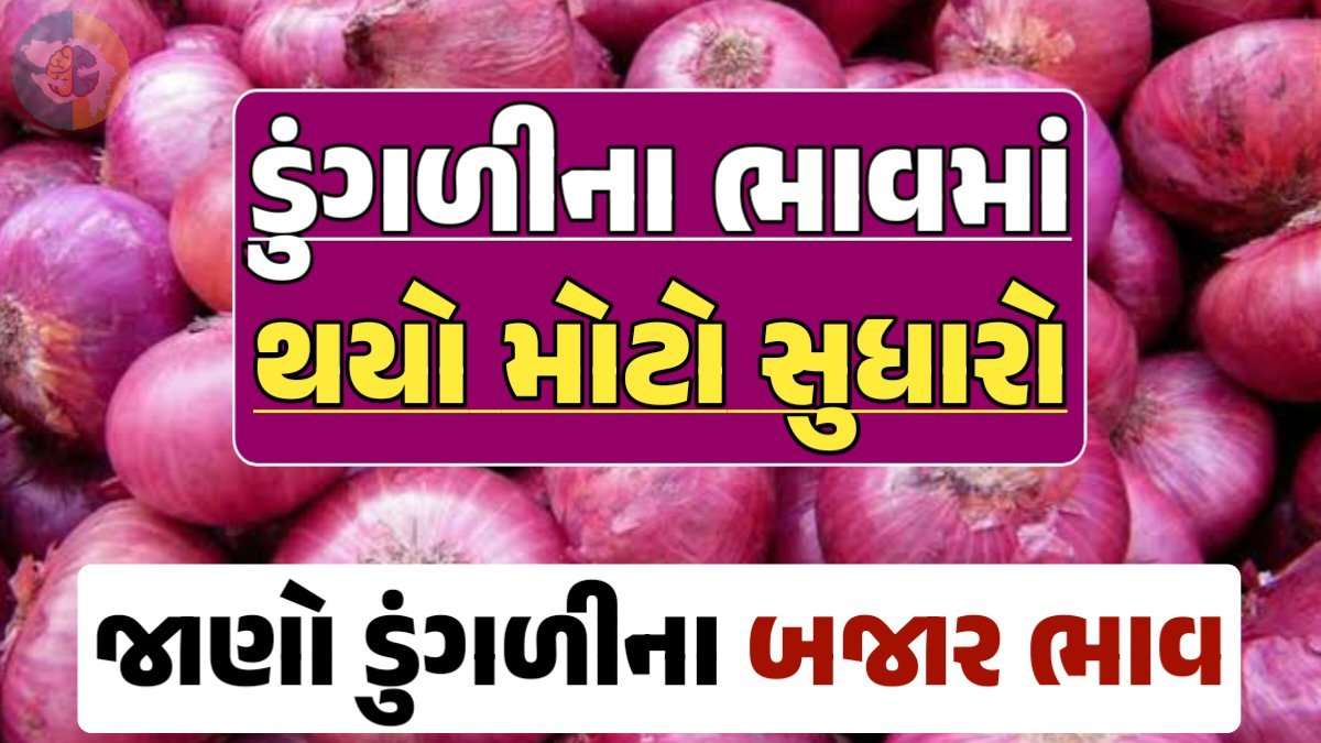 આજના ડુંગળીના ભાવ, ડુંગળી ભાવ, Onion Price 2024, ડુંગળીના ભાવ, ડુંગળીના બજાર ભાવ, Onion Rate, ડુંગળીના બજાર ભાવ 2024 gkmarugujarat.com